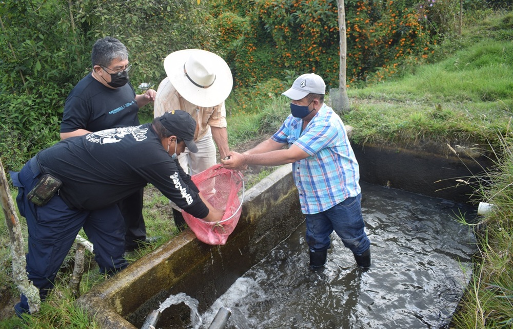 Proyecto truchas 1000x643